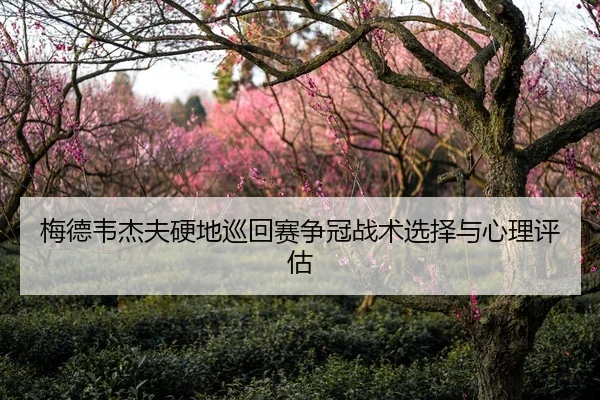 梅德韦杰夫硬地巡回赛争冠战术选择与心理评估